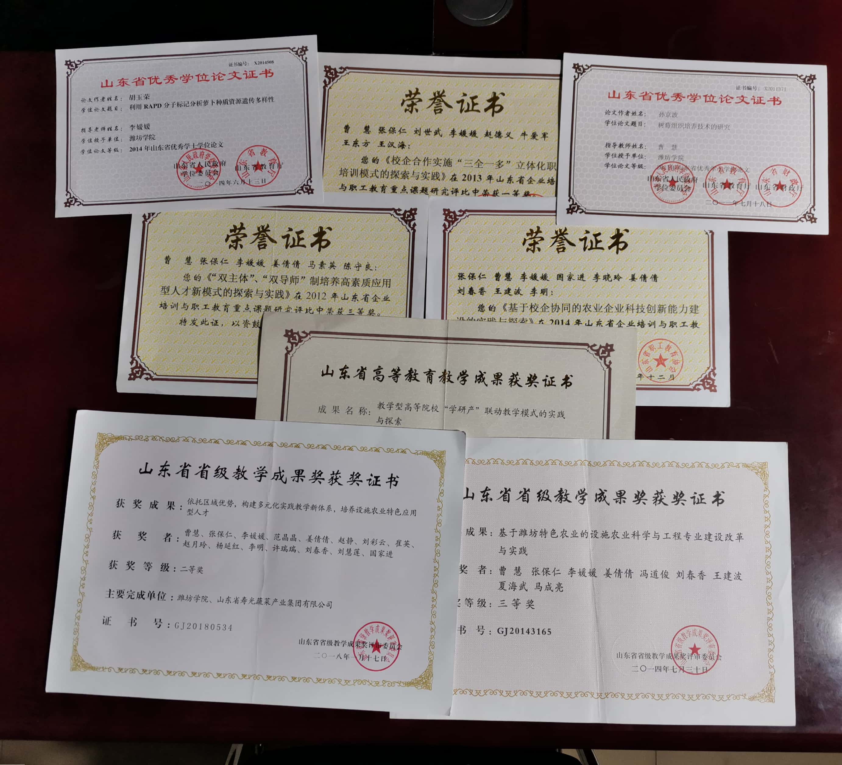 2010年-2020年教师代表性教研奖励一览表